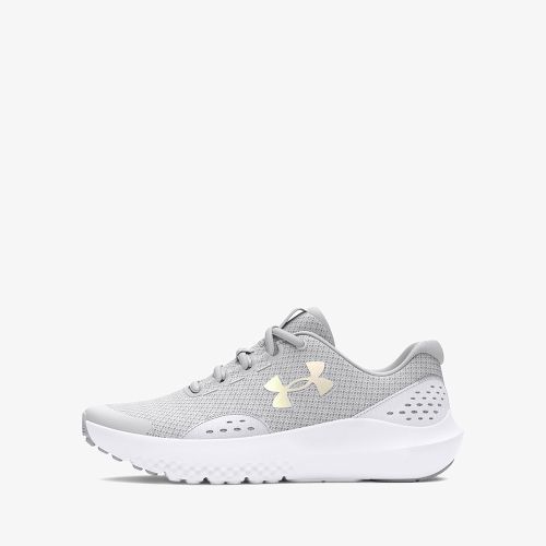 Under Armour Surge 4
