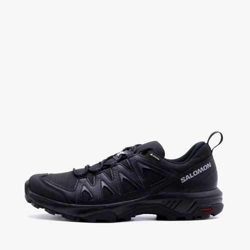Salomon X Braze GTX