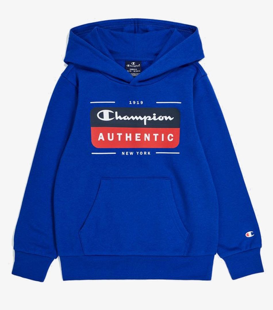 Champion Hooded Sweatshirt