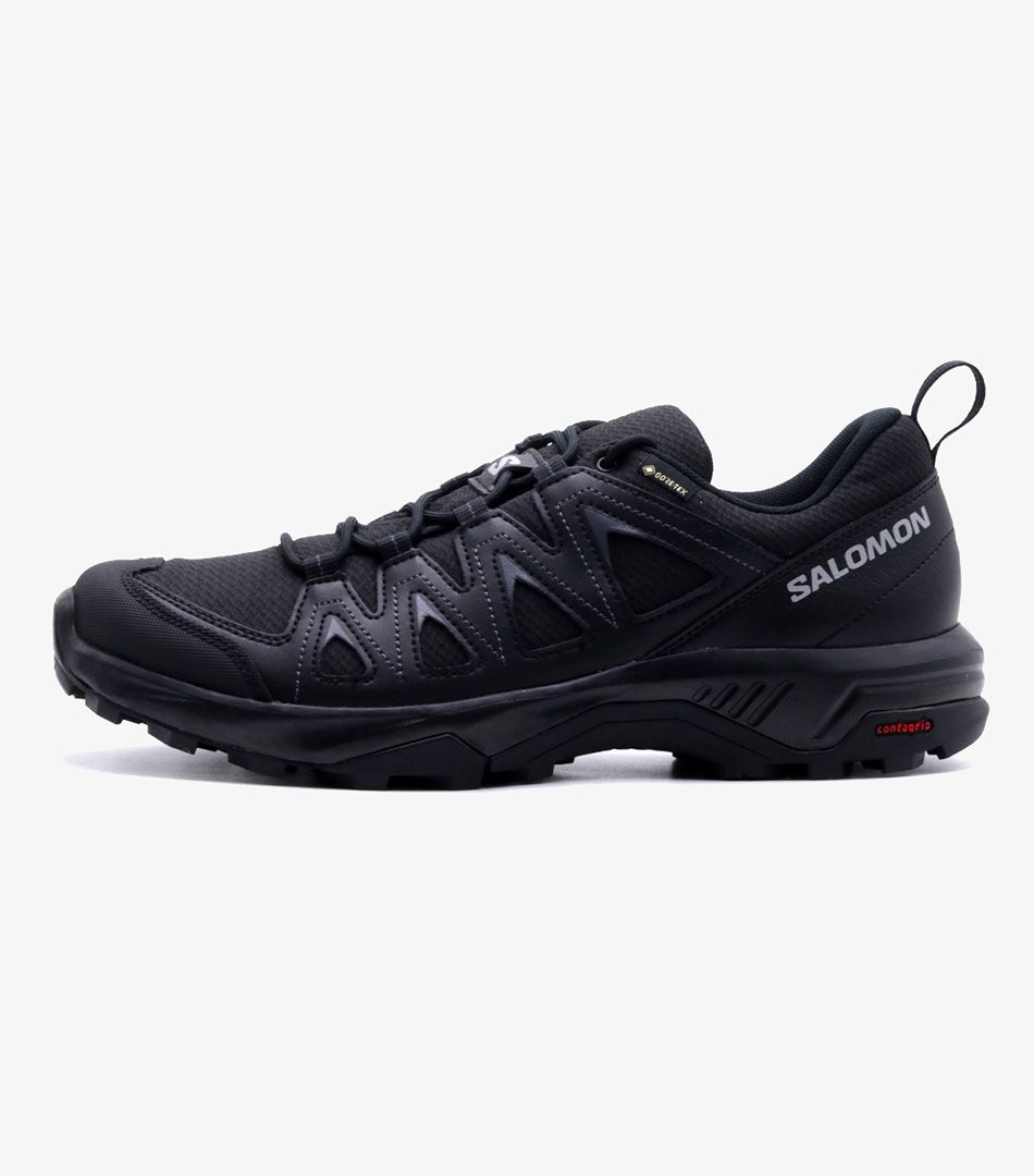 Salomon X Braze GTX