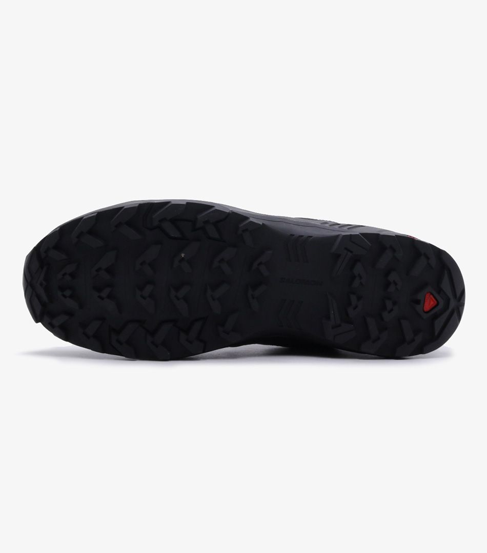 Salomon X Braze GTX