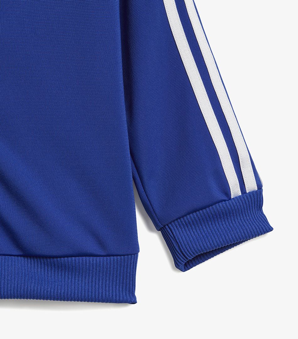 Adidas Essentials Shiny Hooded Track Suit
